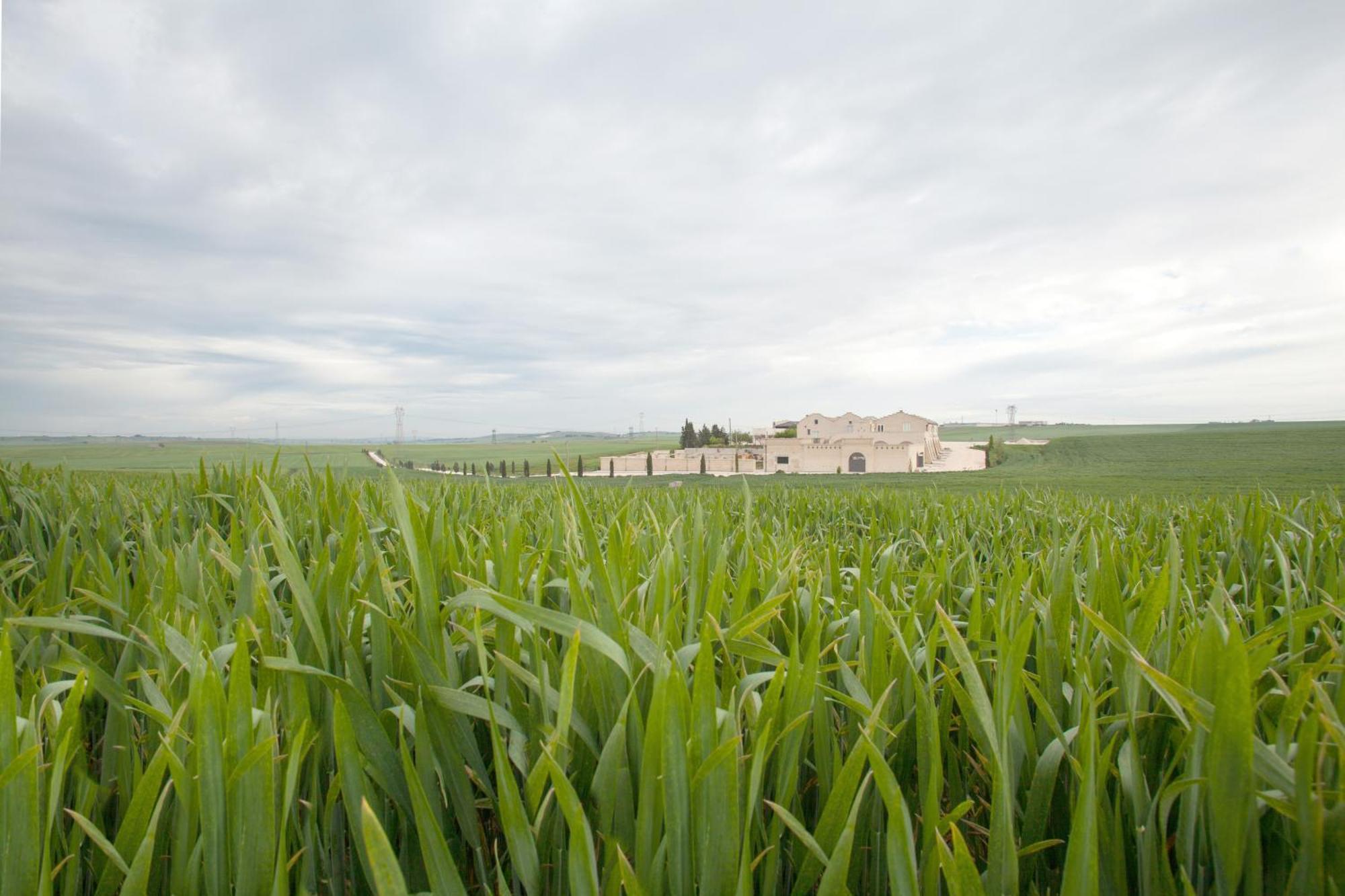 Tenuta Danesi Matera Bagian luar foto